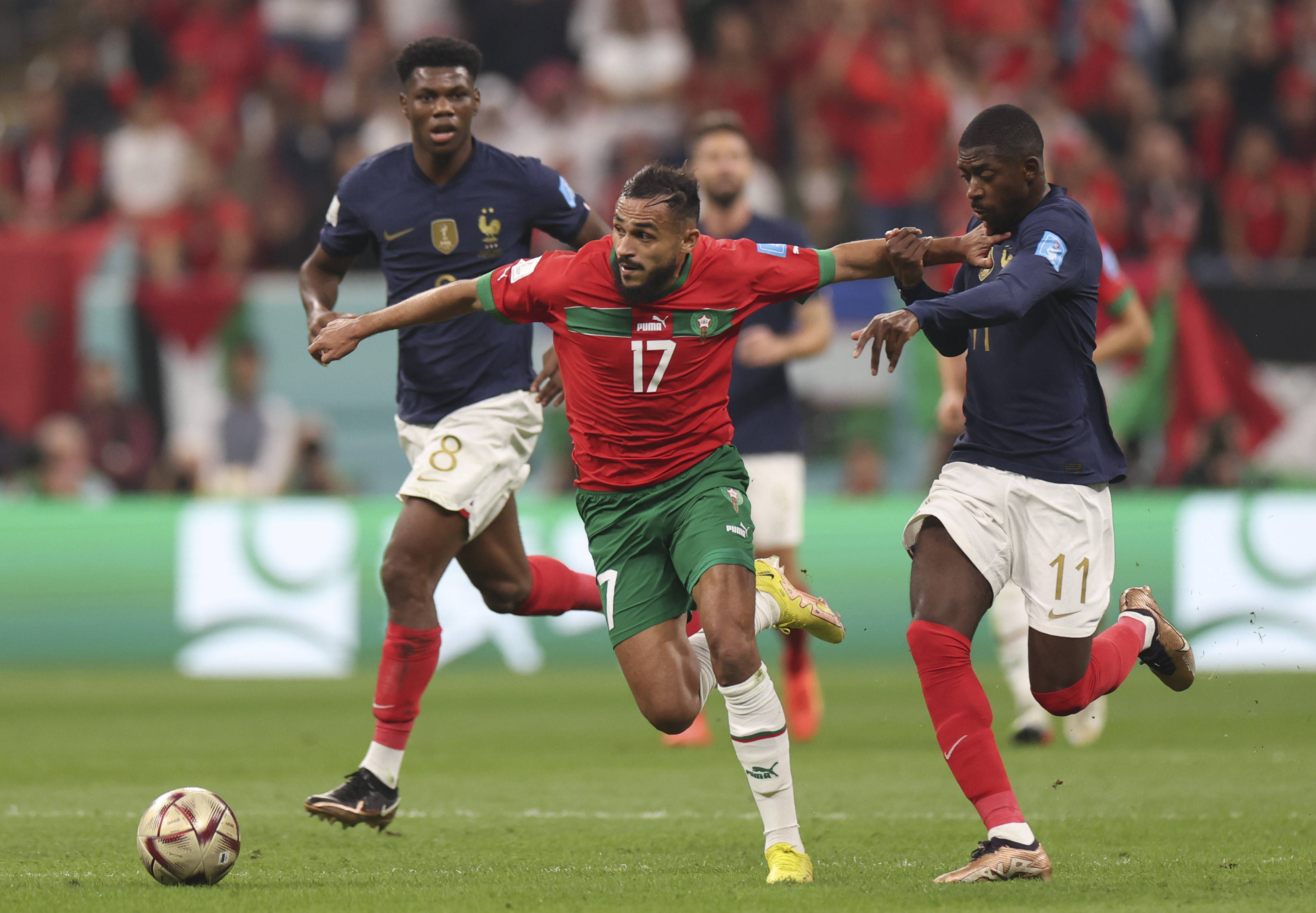 的重要性 的重要性