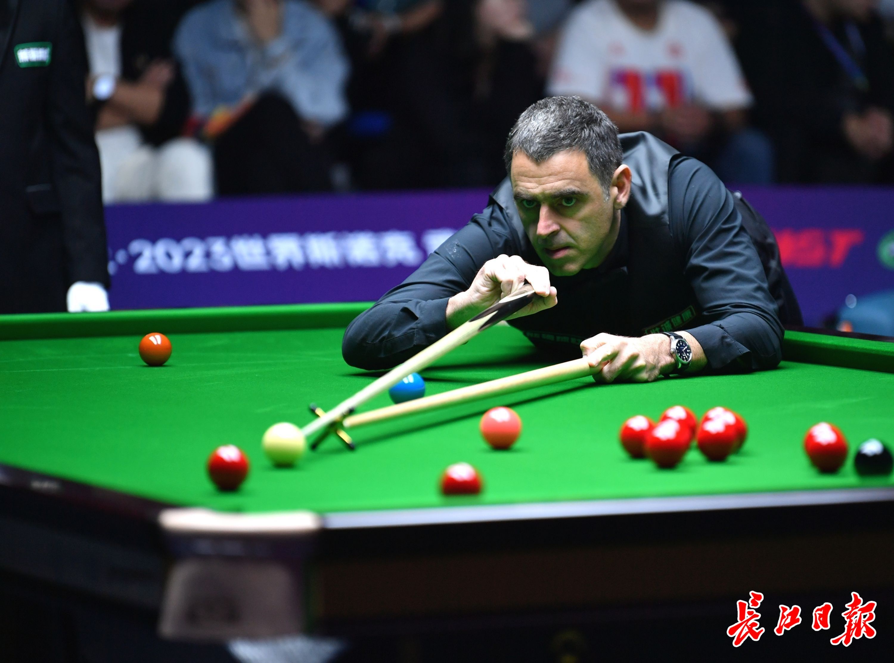 这种拥有大 这种拥有大