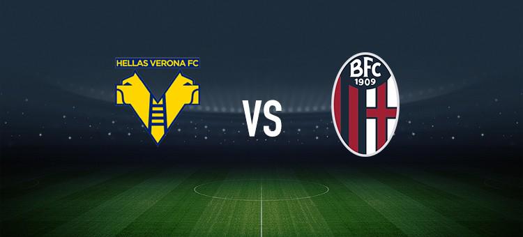 动机制与情 动机制与情